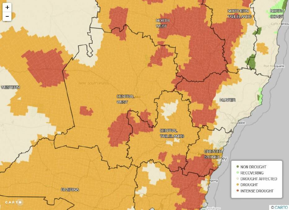 RAIN PREDICTED: 100 per cent of the Central Tablelands and Central West is in drought. Image: NSW DEPARTMENT OF PRIMARY INDUSTRIES