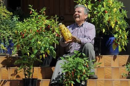 George Moustakas, of George's Liquor Stable, with his chilli plants and preserves at his Deakin home. Photo: Graham Tidy